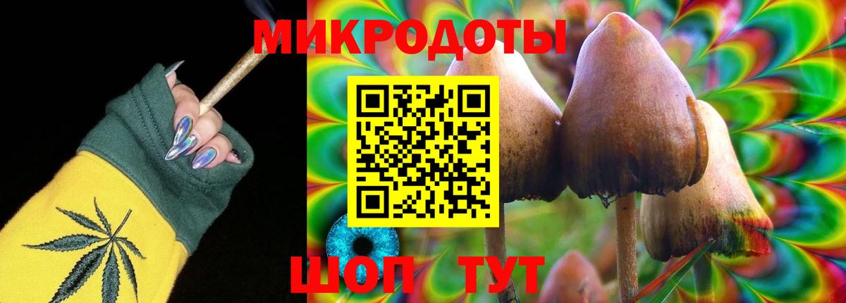 Галлюциногенные грибы Cubensis Менделеевск