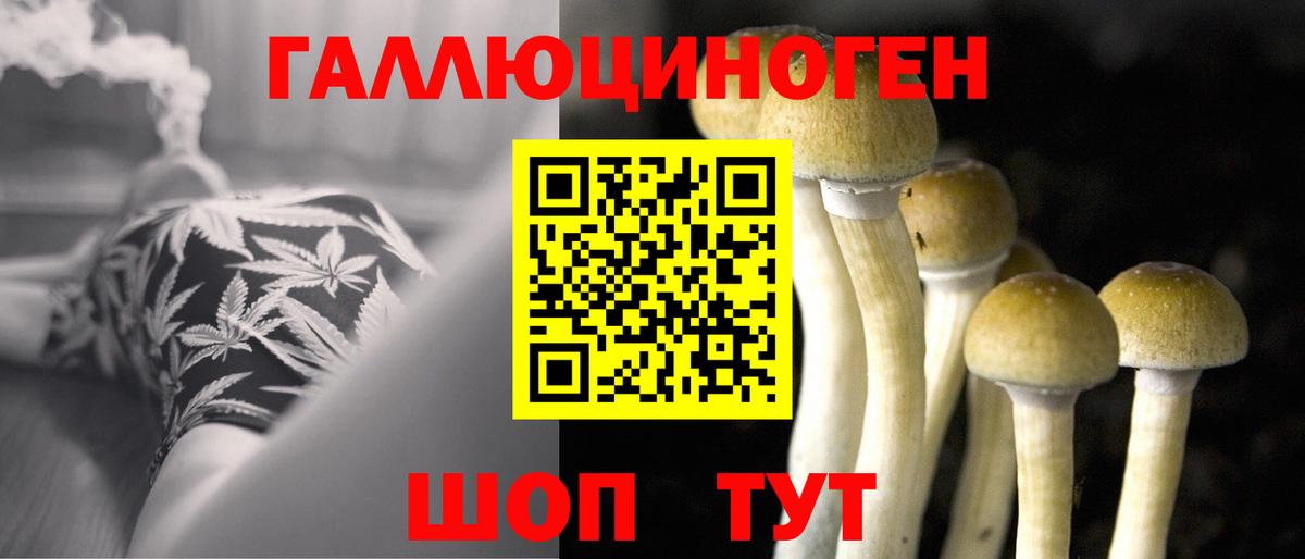 Галлюциногенные грибы ЛСД  Псилоцибиновые грибы Magic Shrooms  цена   Менделеевск  Вход с VPN 